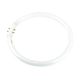 22w Fluorescent T5 Globe Cool White 4000k A-T5C-22/840